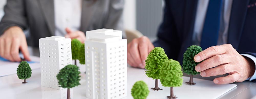 Les arbres et le droit à Bruxelles : ce que tout professionnel de l'immobilier doit savoir !