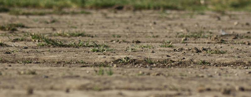 Études de sol en Région bruxelloise et en Wallonie