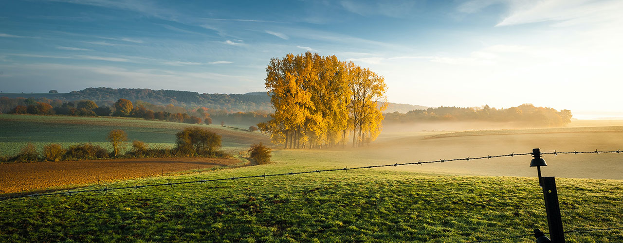 Le bail à ferme